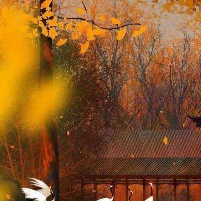 梦幻西游无双版2官方下载
